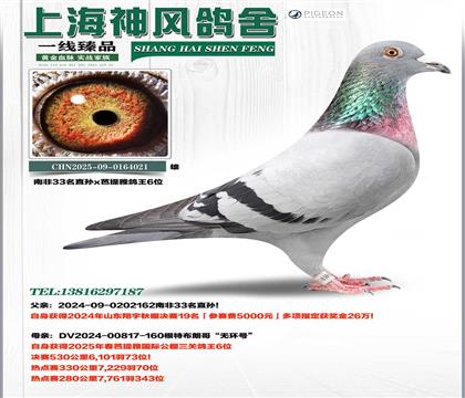 �Ϸ�33������19��x�����Ÿ���6��