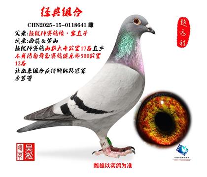 �򡤿�ֱ�ӣ�ɽũ��ǧ����17��