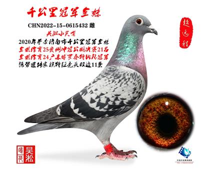 ��أ�ǧ����ھ�ȫ�ö���ھ�