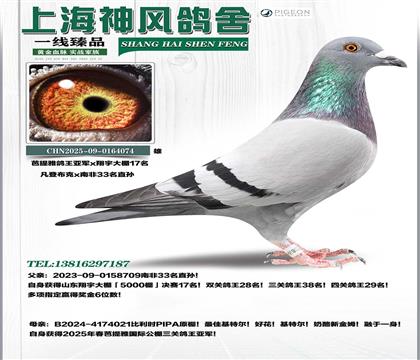 �Ϸ�33������17��x�����Ÿ����Ǿ�