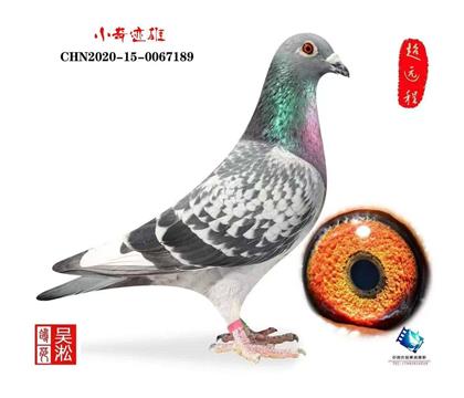 ���͸� ÿ����߼�