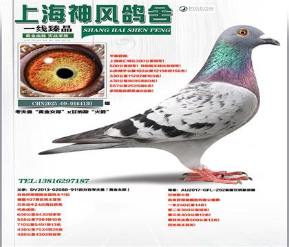 �¹�ȫ������11λx����˹�����ھ�