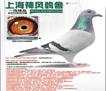 �Ϸ�33��ֱ��xֱŮ