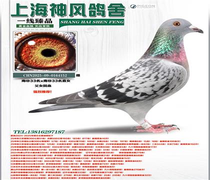 �Ϸ�33��ֱŮ