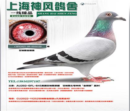 ����˹����Ǹ����Ǿ�x�����24��