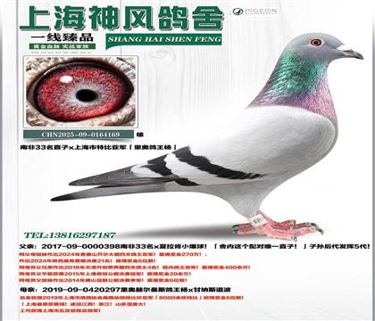 �Ϸ�33��ֱ��x�Ϻ����ر��Ǿ�