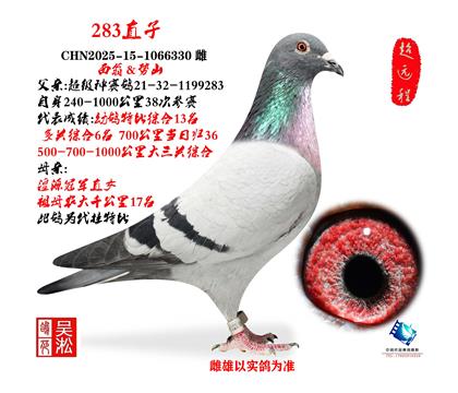 ���͸� ÿ����߼�