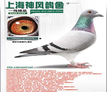 �Ϸ�33��ֱ��xֱŮ