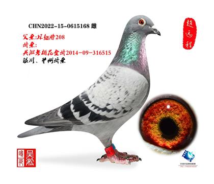 ��ȫ��ǰ���ִ�515ֱŮ