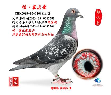 ����С���죺��ռ��������