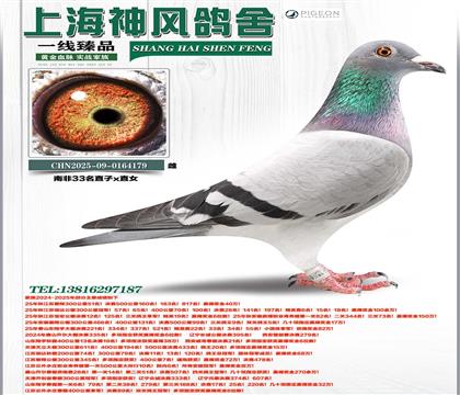 �Ϸ�33��ֱ��xֱŮ