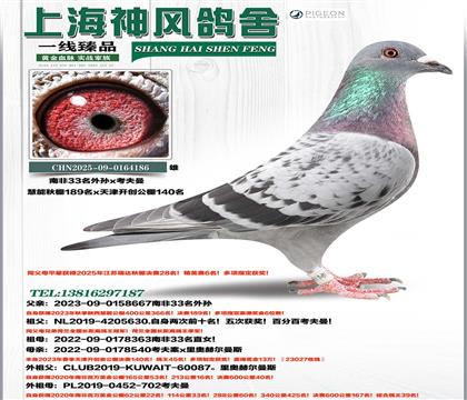 �Ϸ�33�������189��x����140��