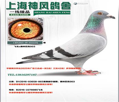 ����������Ǿ�x����