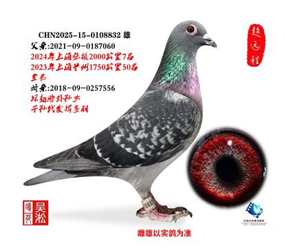 ����Բͷ���������Ҵ7���ܣ�ħŮ