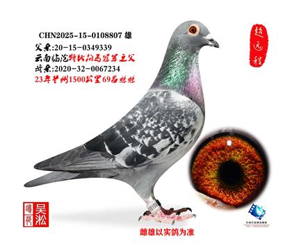 ����Բͷɽ�������ھ�ֱϵ