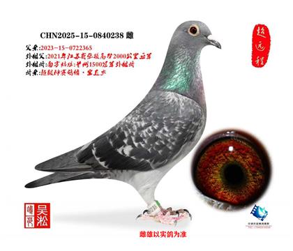 �򡤿�ֱŮ��2000�����Ǿ���ƽ��