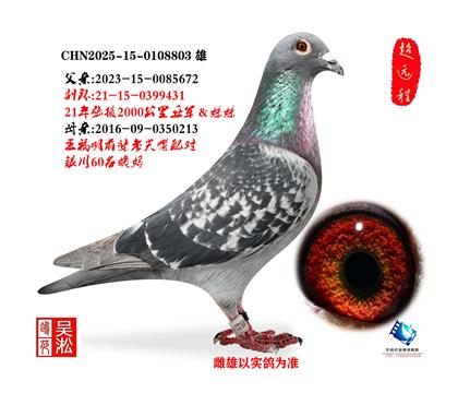 ��Ҵ2000�����Ǿ�ֱ��