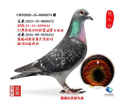 ��Ҵ2000�����Ǿ�ֱ��Ů