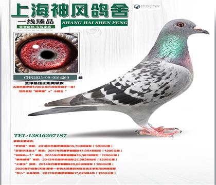 ȫ����ѳ����룡ɽ��������