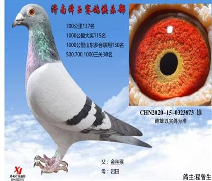 ������������1000����ɼ���