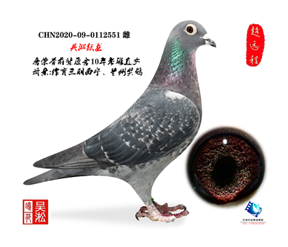 ��أ�������ʦ��Ծ��һ����ֱŮ