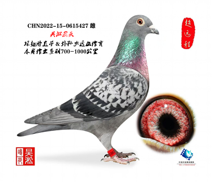 ��أ���������������Ů��������ɼ���