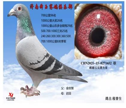 ������������1000����˹ؼ���