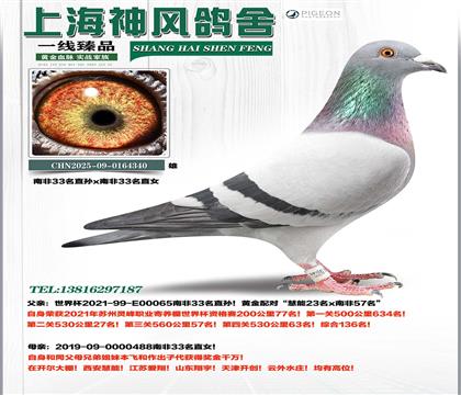 �Ϸ�33��ֱ��x�Ϸ�33��ֱŮ