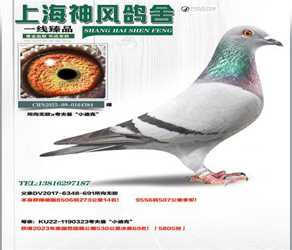 �¹�9556�𼾾�x������69��