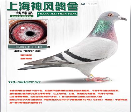 ɣ��ʿ�ǹ���