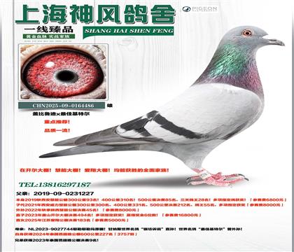 ����85��x��ѻ��ض�������9������