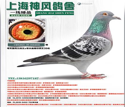 ��������������x�������ϷǸ���39