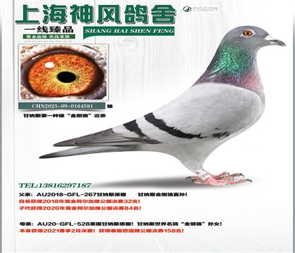 ����˹����ǽ���