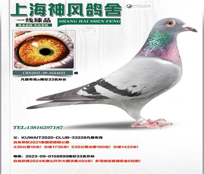 �Ϸ�33�￪��494��x���ǲ��˰�����100��