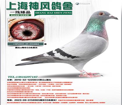 ����5��x�Ϸ�33ֱŮ