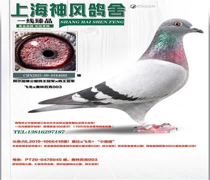 �ƽ𰢶���ά�����ھ�x�����Ǿ�