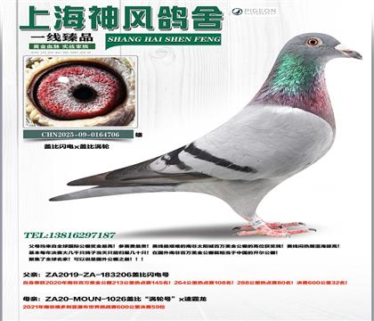 �Ǳ������Ϸ�32��x�Ǳ�����59��