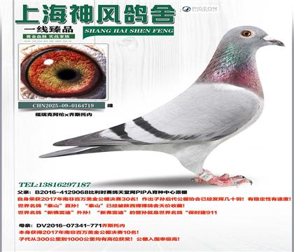 �Ϸǰ�������10��ֱŮ