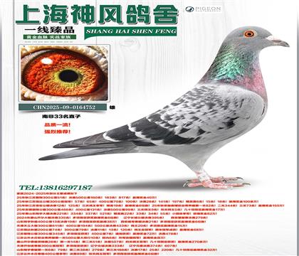 �Ϸ�33��ֱ��