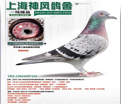 ������С�Ͽ���ߴ�����