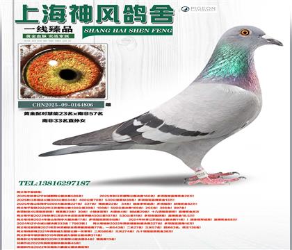 �ƽ�ԣ�����23��x�Ϸ�57��