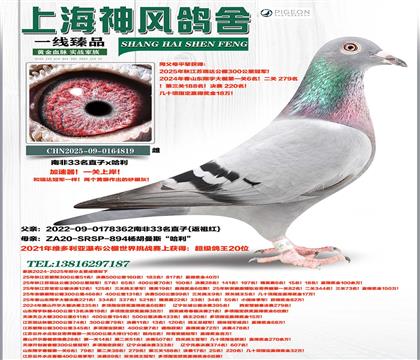 �Ϸ�33��ֱ��x��������20��