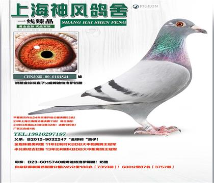 ���ҽ����ֱ��x��ķ����