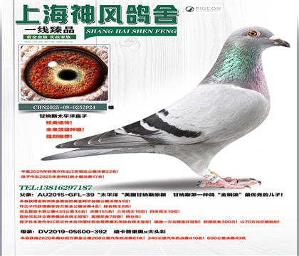 ����˹���롰̫ƽ��ֱ��