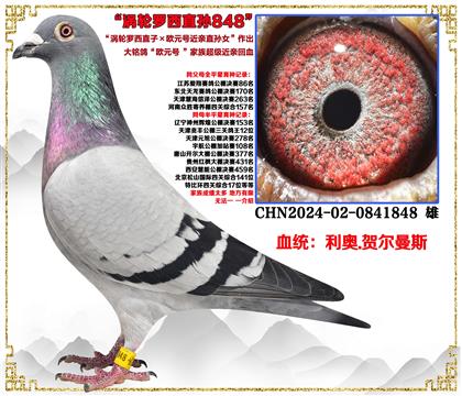 ���¡���������ֱ�ӡ�ŷԪ�Ž���ֱ��Ů����Ѫ