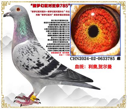 ���¡����λ����ֱ������λ����ֱ��Ů�����׻�Ѫ