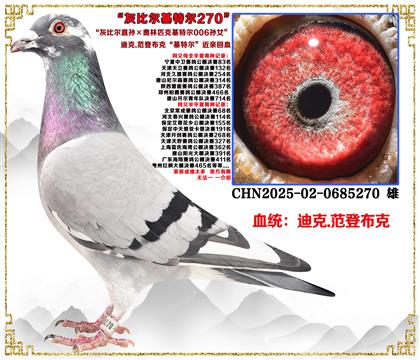 �Ͽ�.���ǲ��ˡ��ұȶ�ֱ�������ƥ�˻��ض�006��Ů��