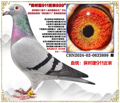 ����ʱ��911ֱ��X��ʱ��911ֱ��Ů����������