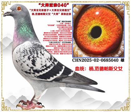 ��.������˹��Ů����ȫ�ֵ�ֱ�ӡ���ȫ�ֵ�ֱŮ��