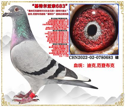 �Ͽ�.���ǲ��ˡ�����ƥ�˻��ض�006ȫ�ֵܡ����ض�ֱŮ��